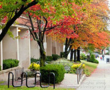 Medford Public Library